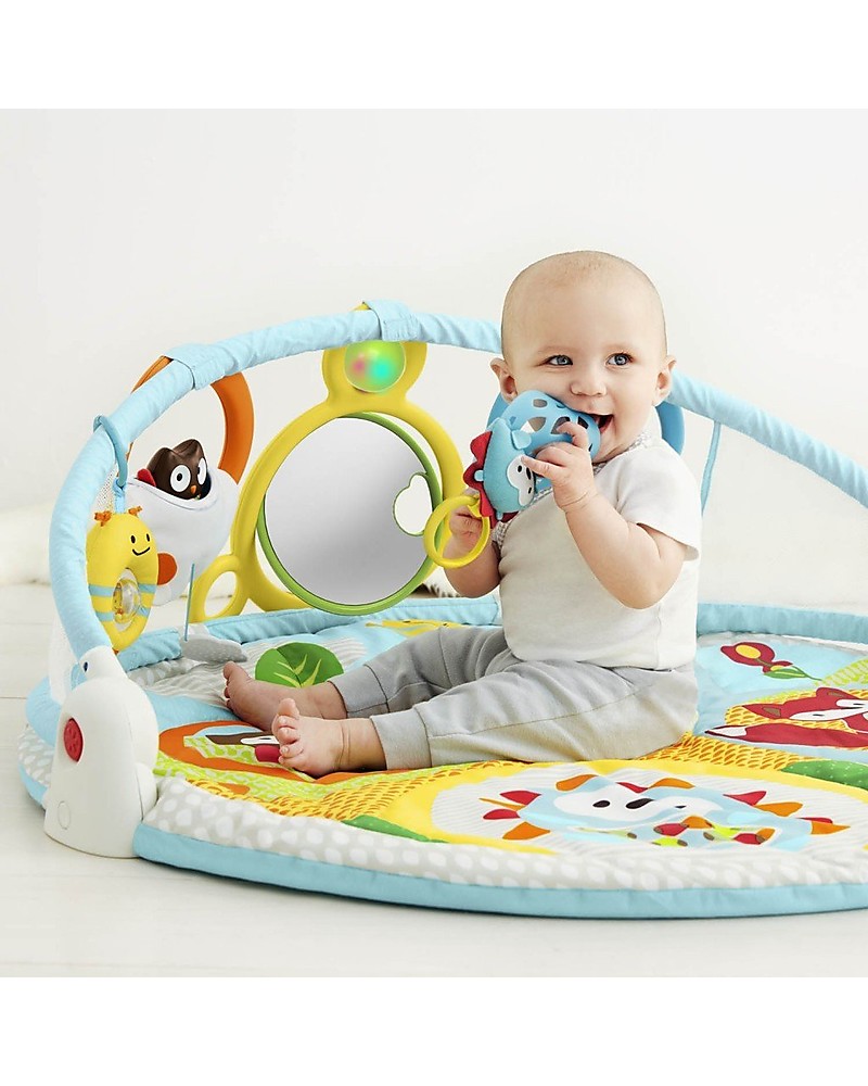 skip hop explore & more babygym
